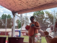 Giant Bier Pong Unlimited Bier / Low Budget